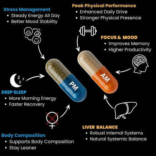 Apex Daily System (AM/PM)